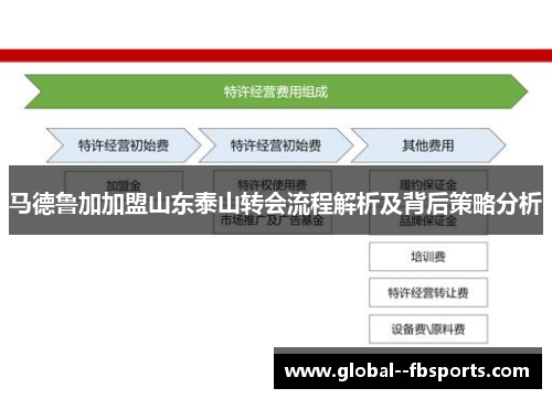 马德鲁加加盟山东泰山转会流程解析及背后策略分析