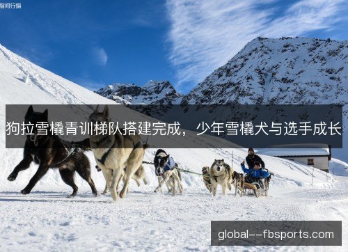 狗拉雪橇青训梯队搭建完成，少年雪橇犬与选手成长